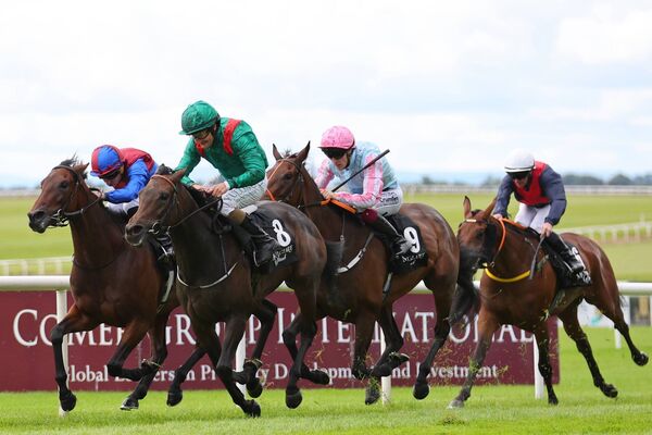 The Aga Khan's Hanalia won the Group 2 Moyglare Jewels Blandford Stakes   2024-09-15